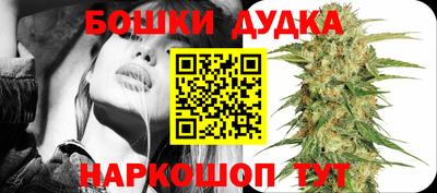 молекула духа Дубна