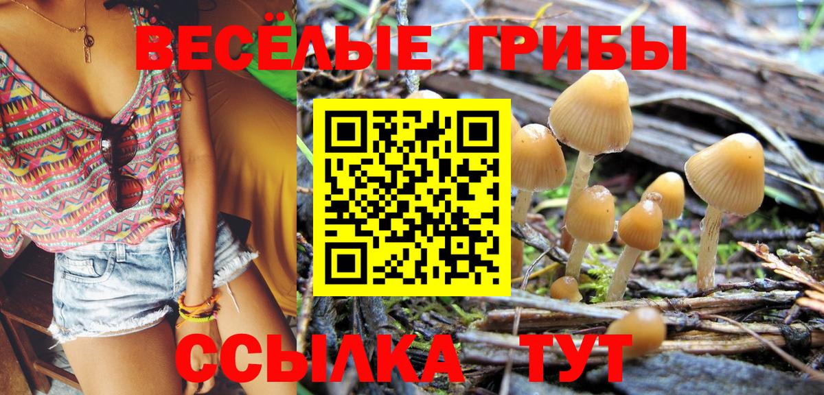 Псилоцибиновые грибы мухоморы  купить закладку  Мариинск  Вход с VPN 