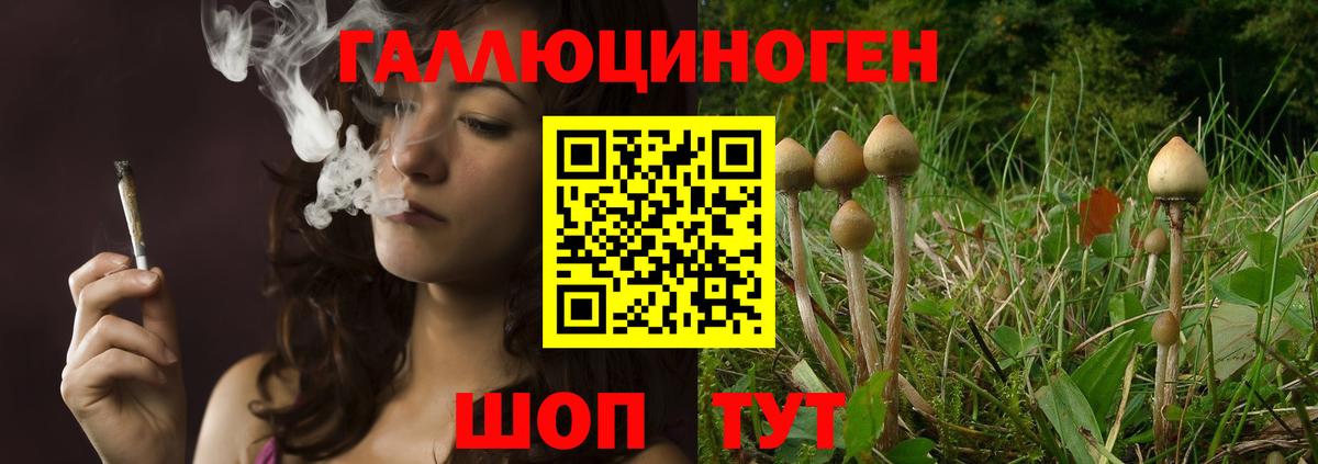 Галлюциногенные грибы MAGIC MUSHROOMS Мариинск
